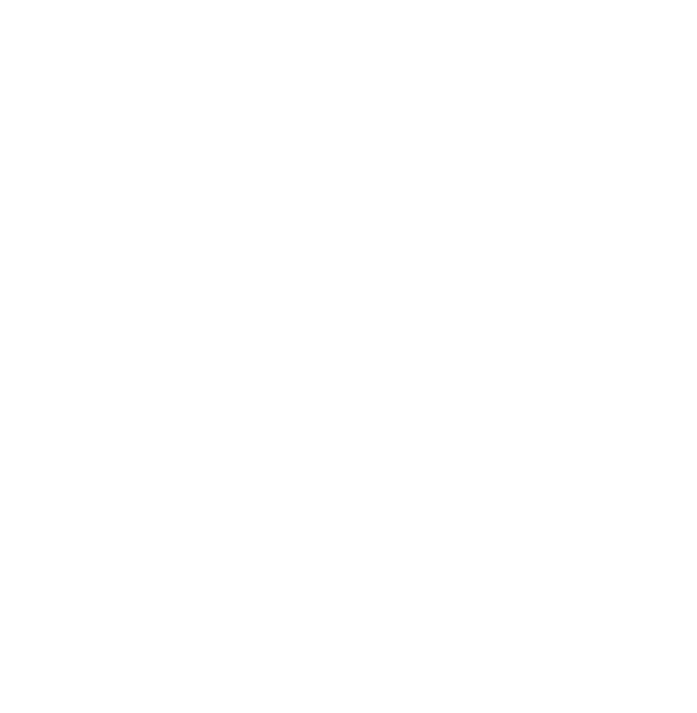 logo-white.png.webp
